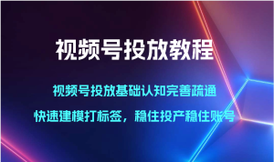 微信视频号推广实例教程-微信视频号推广基础认知健全输通，快速建模添加标签，控住建成投产控住账户-天天有课网