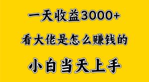 一天赚3000多,大佬是那样赚大钱的,新手当日入门,穷人翻身新项目-天天有课网