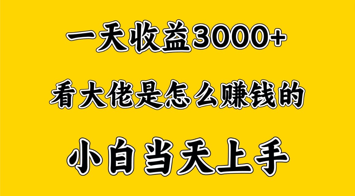 一天赚3000多，大佬是那样赚大钱的，新手当日入门，穷人翻身新项目-天天有课网