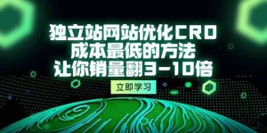 独立站网站优化CRO，成本最低的方法，让你销量翻3-10倍-天天有课网