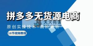 拼多多无货源电子商务，原创设计实际操作技术性 高级升级-天天有课网