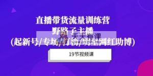 直播卖货总流量夏令营，歪门邪道网络主播(起小号/盛典/冲榜/明星网红助博)19堂课-天天有课网
