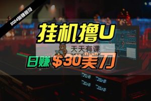 日赚30美金，2024全新国外放置挂机撸U内部结构新项目，全过程无人化，可大批量变大-天天有课网