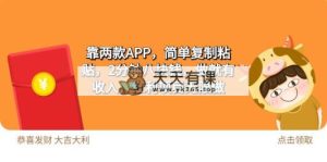 2靠2款APP，简易拷贝，2min八块钱，做就会有收益，收益新项目无尽做-天天有课网