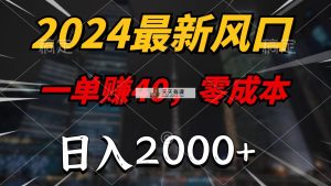 2024全新蓝海项目，一单40，零成本，日入2000 ，没脑子实际操作-天天有课网