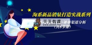 淘系新品销量打造实战系列，基础销量打造+补单渠道分析-天天有课网