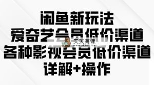 闲鱼平台新模式，爱奇艺vip廉价方式，各种各样视频会员廉价方式详细说明-天天有课网