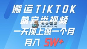 一键运送TIKTOK萌宝类视频 一部手机即可操作 所有平台都可公布 轻轻松松月入5W-天天有课网