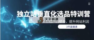 自建站-垂直领域选款夏令营，打造出产品壁垒，提升关键词盈利-天天有课网