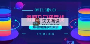 GPT(3.5和4.0)调整新手入门和实战演练，源代码数据实战案例-天天有课网