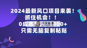 2024全新蓝海项目来临，把握机会，0成本费一部手机日入1000 ，仅需没脑子复…-天天有课网