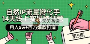 当然IP总流量卵化手 14无线天线上实际操作夏令营【第9期】月入5w 上百万爆款打造 (74节)-天天有课网