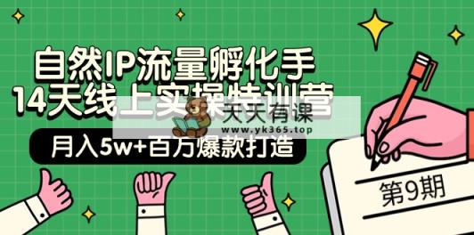 当然IP总流量卵化手 14无线天线上实际操作夏令营【第9期】月入5w 上百万爆款打造 (74节)-天天有课网