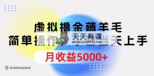 虚似撸金撸羊毛，易操作，新手当日入门，月盈利5000-天天有课网
