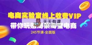 电商-实验室 线上收费VIP，带你玩赚淘系淘宝电商-天天有课网