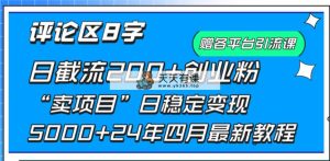 发表评论8字日载流200 自主创业粉  日平稳转现5000 24年四月全新实例教程！-天天有课网