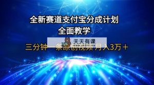 全新生态  支付宝钱包分为方案，全方位课堂教学 三分钟一条原创短视频 月入3万＋-天天有课网