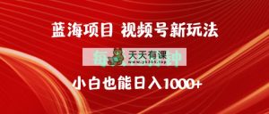 蓝海项目视频号新玩法 每天15分钟 小白也能日入1000+-天天有课网
