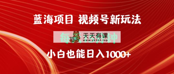 蓝海项目视频号新玩法 每天15分钟 小白也能日入1000+-天天有课网