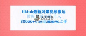 tiktok全新景色视频搬运实例教程 简易去重复 月入30000 附整套专用工具-天天有课网