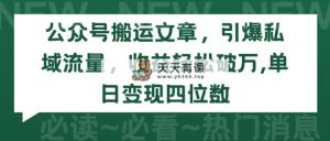 微信公众号运送文章内容，点爆私域流量池，盈利轻轻松松过万，单日转现四位数-天天有课网