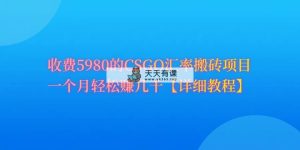 CSGO武器装备打金，月综合收益率达到60%，你就可以！-天天有课网
