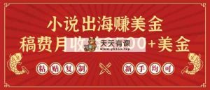 小说出海赚美金，稿费月收益2500+美金，仅需chatgpt粘贴复制，新手也能玩转-天天有课网