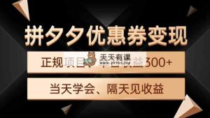 拼夕夕优惠券变现，单日收益300+，手机电脑都可操作-天天有课网