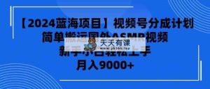 【2024蓝海项目】视频号分成计划，无脑搬运国外ASMR视频，新手小白轻松…-天天有课网