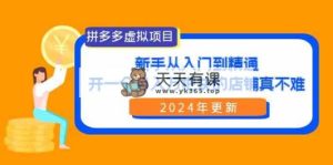 拼多多虚拟项目：入门到精通，开一个月入万把块的店铺 真不难-天天有课网