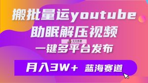 大批量运送YouTube缓解压力助眠视频 一键多平台分发 月入2W-天天有课网