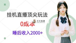 放置挂机直播间顶级游戏玩法，睡后日收益2000 、0成本费，在线视频教学-天天有课网