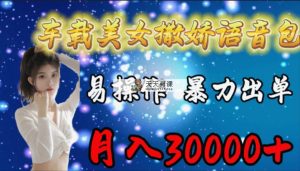 车载式女生撒娇语音库，易上手，暴力行为开单，月入30000-天天有课网