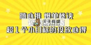 随心推 爆单秘诀，短视频带货-超1个小目标的投放心得-天天有课网