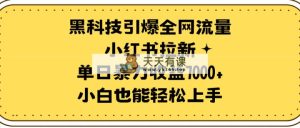 高科技点爆各大网站总流量小红书的引流，单日暴力行为盈利7000 ，新手也可以快速上手-天天有课网
