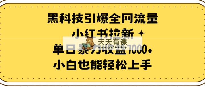 高科技点爆各大网站总流量小红书的引流，单日暴力行为盈利7000 ，新手也可以快速上手-天天有课网