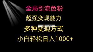 全局性引流方法颜料 极强变现力 多种多样变现模式 新手轻轻松松日入1000-天天有课网