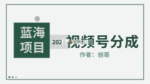 【蓝海项目】2024年视频号分成计划，快速开分成，日爆单8000+，附玩法教程-天天有课网
