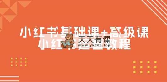 小红书基础课+高级课-小红书运营教程-天天有课网