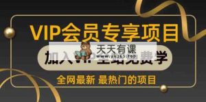 2024视频号最新撸收益技术，爆火赛道起号玩法，收益稳定，单日1000+-天天有课网
