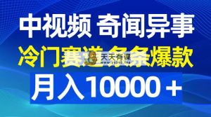 中视频奇闻怪事，小众跑道一条条爆品，月入10000＋-天天有课网