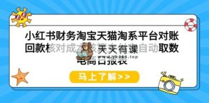 小红书的会计天猫淘宝服务平台查账资金回笼核查成本计算支付宝钱包全自动取数电子商务日表格-天天有课网