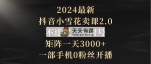 2024最新抖音小雪花卖课2.0 不违规 不封号 矩阵一天3000+一部手机0粉丝开播-天天有课网
