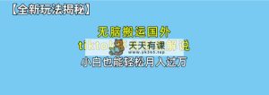 没脑子运送海外tiktok历史解说 不用视频剪辑，易操作，真正实现月入了万-天天有课网