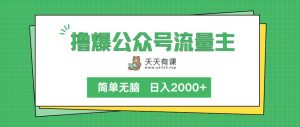 撸爆微信公众号微信流量主，简易没脑子，单日转现2000-天天有课网