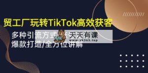 外贸工厂玩转TikTok高效获客，多种引流方式/账号定位/爆款打造/全方位讲解-天天有课网