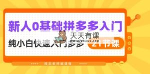 新人0基础拼多多入门，​纯小白快速入门多多-天天有课网