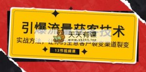 《引爆流量 获客技术》实战演练方式，让你的生意客户裂变方式裂变式-天天有课网