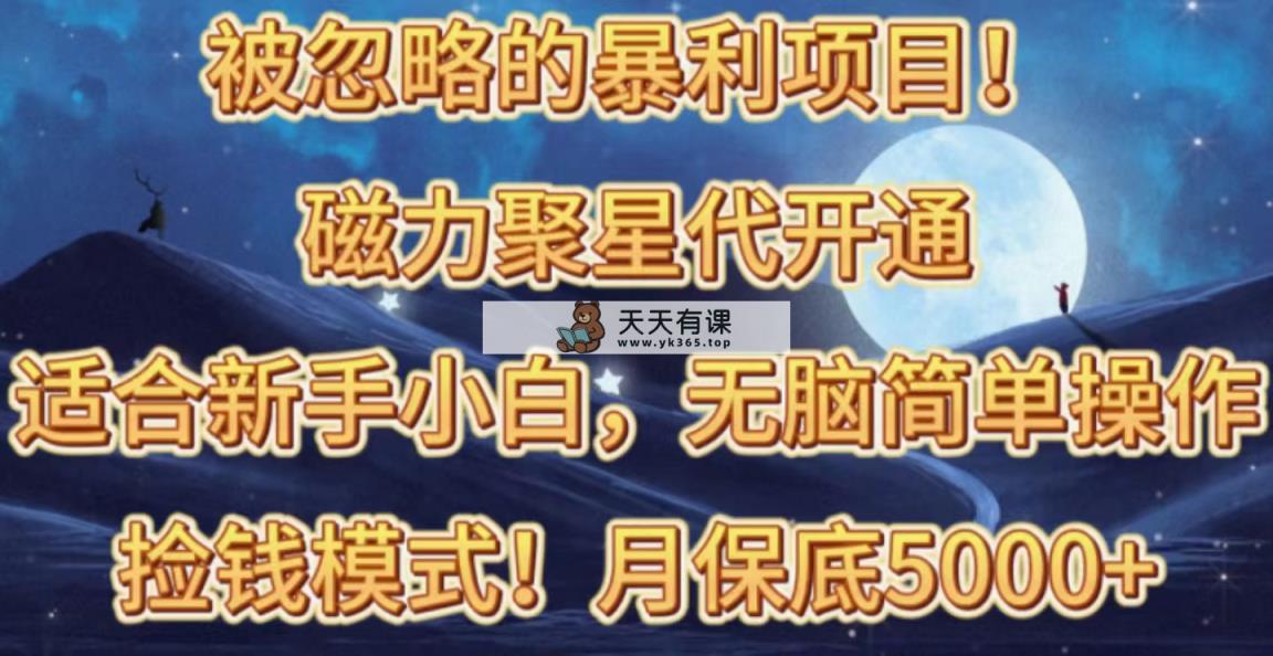 被忽视赚钱项目！磁力聚星代开启拾钱方式，轻轻松松月入五六千-天天有课网