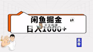 闲鱼平台暴力行为掘金队新项目，轻轻松松日入1000-天天有课网